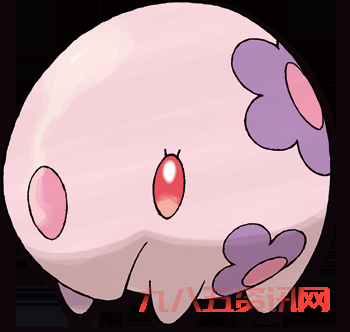 双子星口袋图鉴怎么用？新手快速上手全攻略！