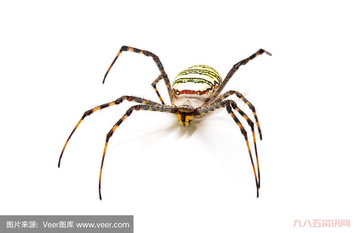 巫师2蟹蜘蛛的眼睛有什么用？这几个用途必知！