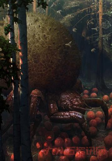 巫师2蟹蜘蛛的眼睛有什么用？这几个用途必知！