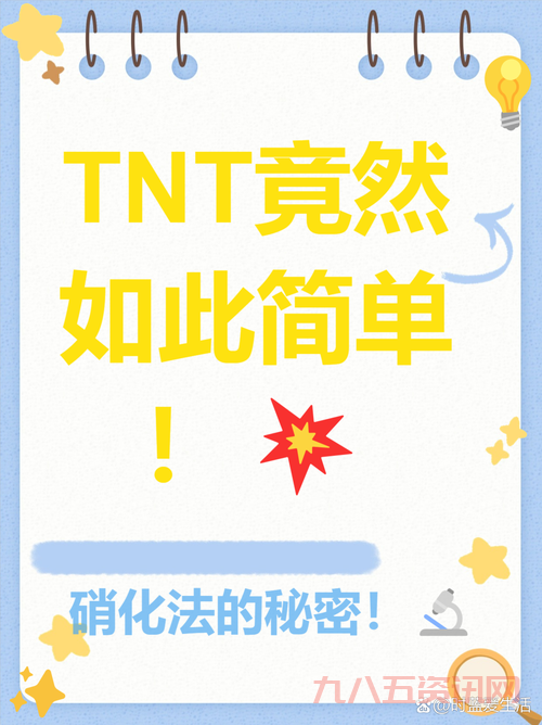 tnt论坛是干嘛的？老司机带你了解这个神秘平台！