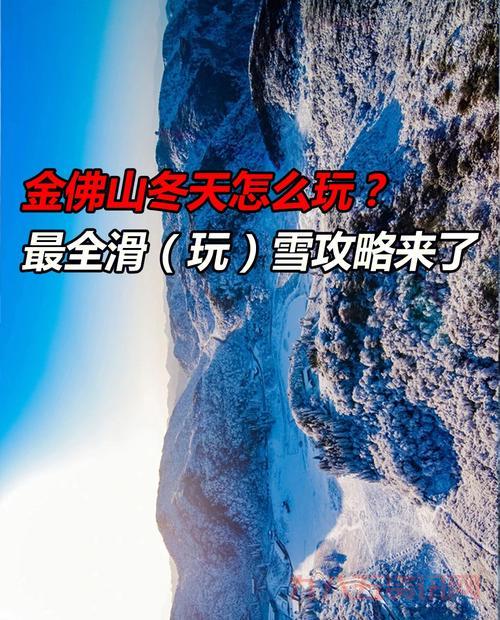 七个小矮人攻略怎么过？高玩分享实用技巧！