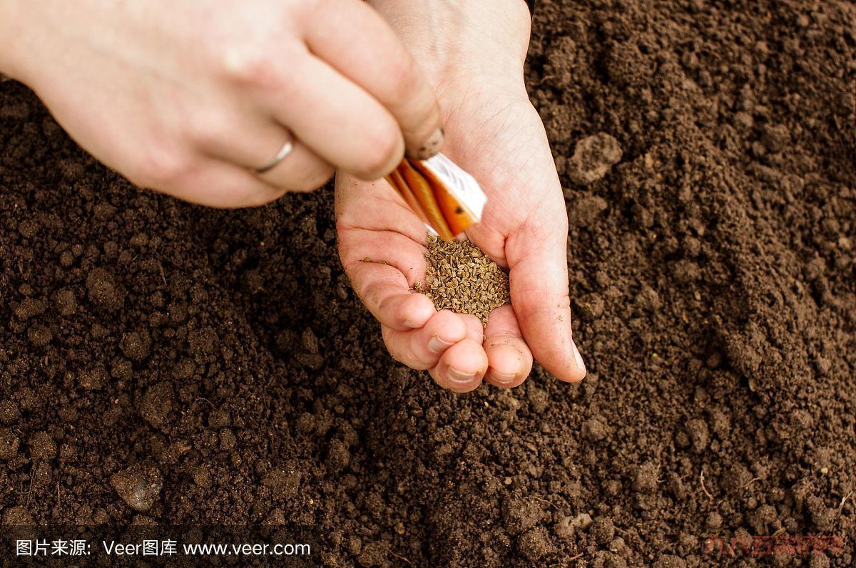 qq农场有机种子有什么用？种出高品质作物秘籍！