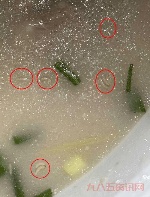 想找贪吃的蛆虫在哪？这些地方可能藏着它们！