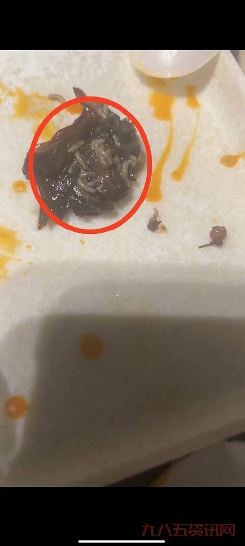 想找贪吃的蛆虫在哪？这些地方可能藏着它们！