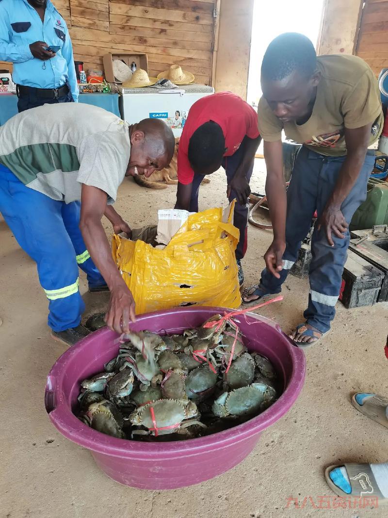 卡桑琅白鲟好吃吗？这种鱼一般怎么吃比较好？