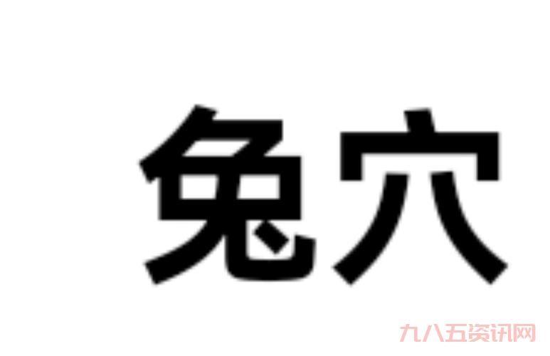 兔区是什么地方？老司机带你了解这个神秘论坛！