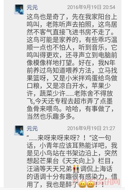 小黄说说1000字解读：让你快速掌握核心内容！
