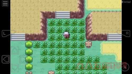 叶绿攻略：全精灵捕捉地点，助你轻松收集图鉴！