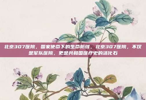 北京307医院，国家使命下的生命防线，北京307医院，不仅是军队医院，更是共和国医疗史的活化石