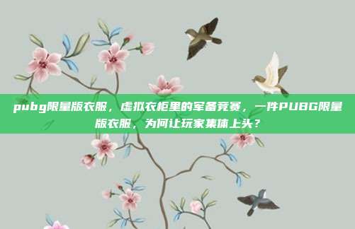 pubg限量版衣服，虚拟衣柜里的军备竞赛，一件PUBG限量版衣服，为何让玩家集体上头？