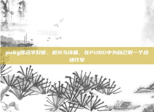 pubg啥名字好听，枪火与诗篇，在PUBG中为自己取一个战场代号