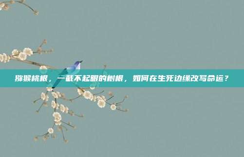 猕猴桃根，一截不起眼的树根，如何在生死边缘改写命运？