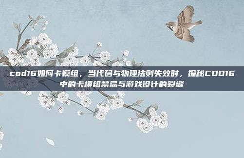 cod16如何卡模组，当代码与物理法则失效时，探秘COD16中的卡模组禁忌与游戏设计的裂缝