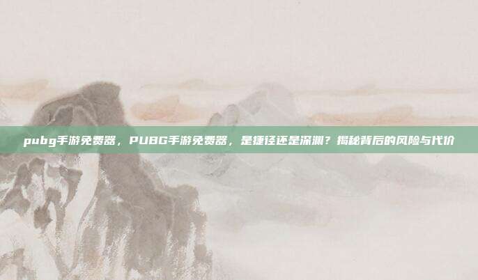 pubg手游免费器，PUBG手游免费器，是捷径还是深渊？揭秘背后的风险与代价