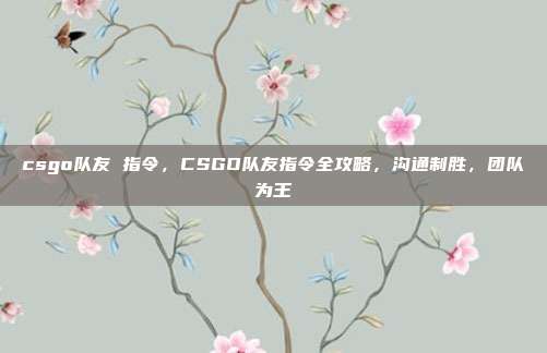 csgo队友 指令，CSGO队友指令全攻略，沟通制胜，团队为王