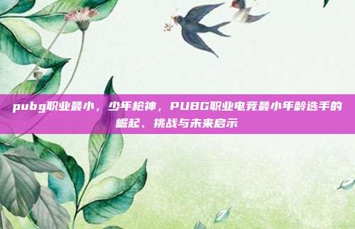 pubg职业最小，少年枪神，PUBG职业电竞最小年龄选手的崛起、挑战与未来启示