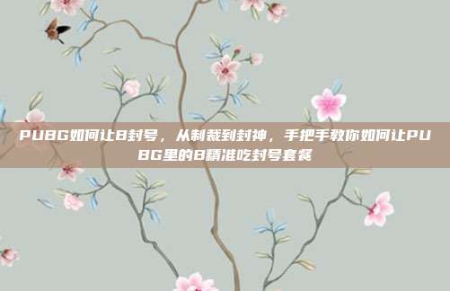 PUBG如何让B封号，从制裁到封神，手把手教你如何让PUBG里的B精准吃封号套餐