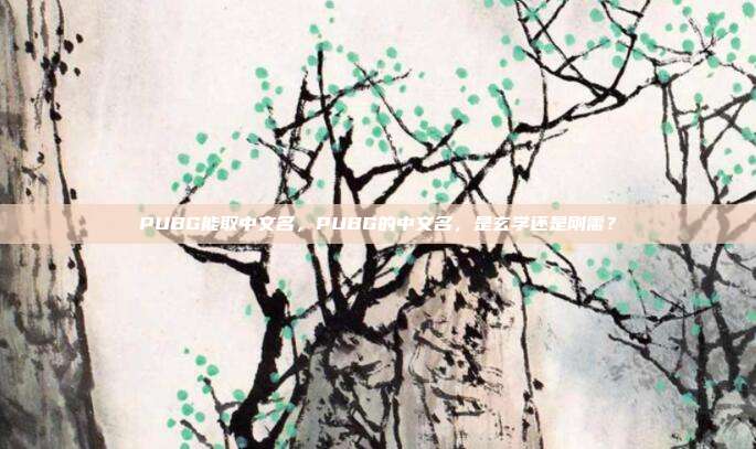 PUBG能取中文名，PUBG的中文名，是玄学还是刚需？