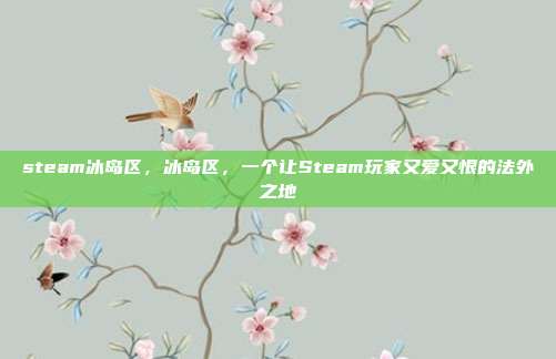 steam冰岛区，冰岛区，一个让Steam玩家又爱又恨的法外之地