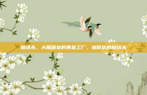 脉络丛，大脑深处的黄金工厂，被低估的脉络丛