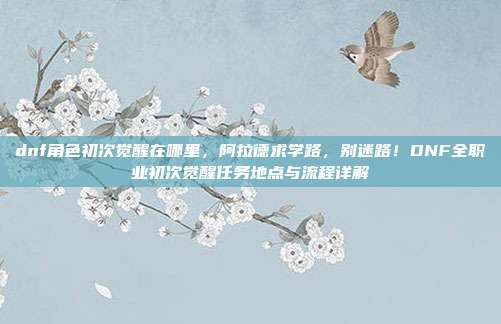 dnf角色初次觉醒在哪里，阿拉德求学路，别迷路！DNF全职业初次觉醒任务地点与流程详解