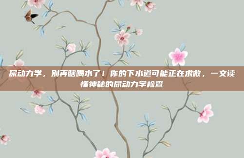 尿动力学，别再瞎喝水了！你的下水道可能正在求救，一文读懂神秘的尿动力学检查