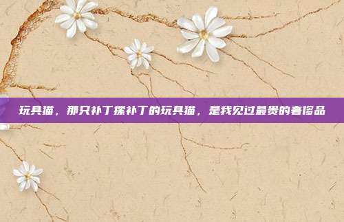 玩具猫，那只补丁摞补丁的玩具猫，是我见过最贵的奢侈品