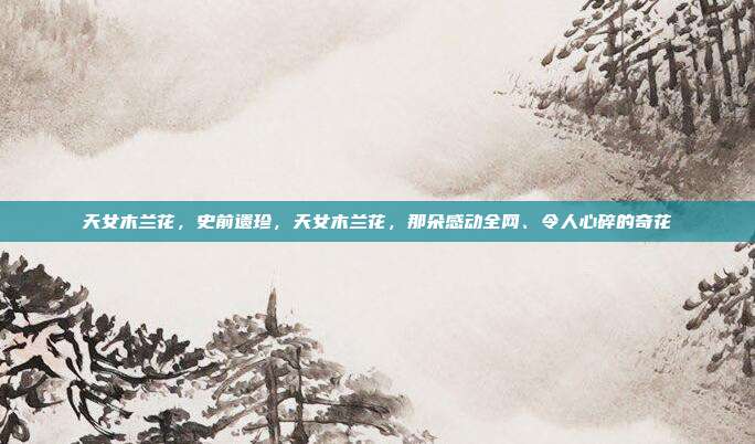 天女木兰花，史前遗珍，天女木兰花，那朵感动全网、令人心碎的奇花