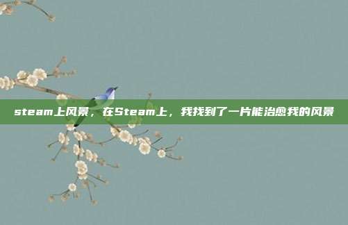 steam上风景，在Steam上，我找到了一片能治愈我的风景