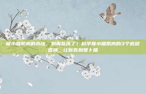 瘦小腿肌肉的办法，别再乱练了！科学瘦小腿肌肉的3个底层逻辑，让你告别萝卜腿