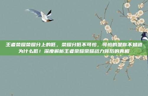 王者荣耀荣耀分上的低，荣耀分低不可怕，可怕的是你不知道为什么低！深度解析王者荣耀荣耀战力背后的真相