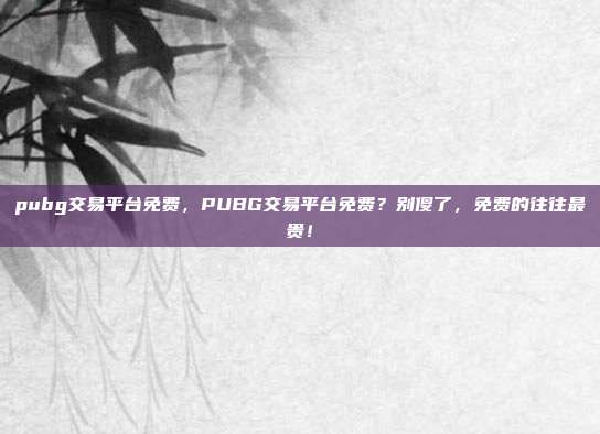 pubg交易平台免费，PUBG交易平台免费？别傻了，免费的往往最贵！