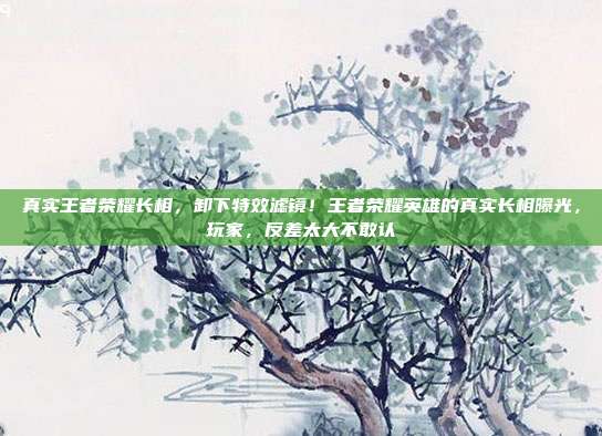 真实王者荣耀长相，卸下特效滤镜！王者荣耀英雄的真实长相曝光，玩家，反差太大不敢认
