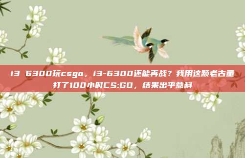 i3 6300玩csgo，i3-6300还能再战？我用这颗老古董打了100小时CS:GO，结果出乎意料