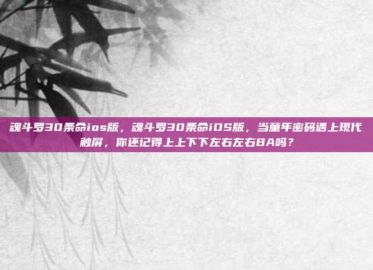 魂斗罗30条命ios版，魂斗罗30条命iOS版，当童年密码遇上现代触屏，你还记得上上下下左右左右BA吗？