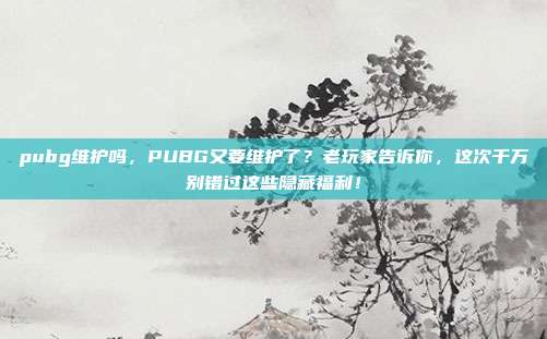 pubg维护吗,PUBG又要维护了?老玩家告诉你,这次千万别错过这些隐藏福利!