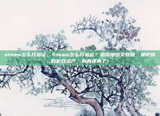 steam怎么开验证,Steam怎么开验证?超详细图文教程,保护你的游戏资产,别再裸奔了!