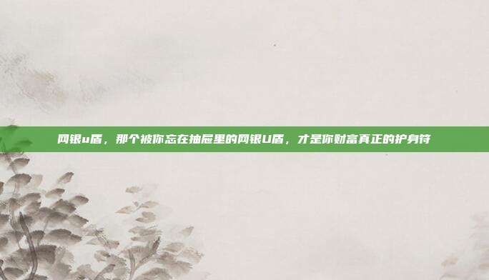 网银u盾,那个被你忘在抽屉里的网银U盾,才是你财富真正的护身符