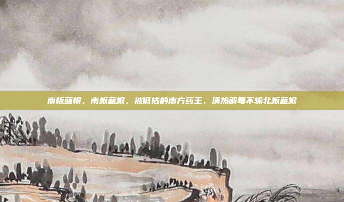 南板蓝根,南板蓝根,被低估的南方药王,清热解毒不输北板蓝根
