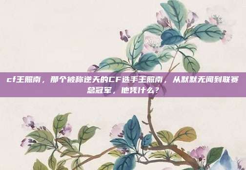 cf王照南,那个被称逆天的CF选手王照南,从默默无闻到联赛总冠军,他凭什么?