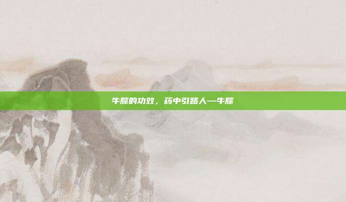 牛膝的功效,药中引路人—牛膝
