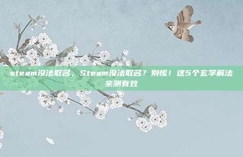 steam没法取名,Steam没法取名?别慌!这5个玄学解法亲测有效