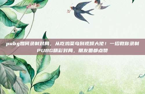 pubg如何录制对局,从吃鸡菜鸟到视频大佬!一招教你录制PUBG精彩对局,朋友圈都点赞