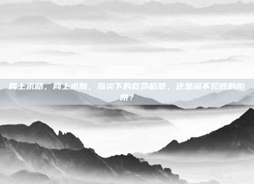 网上求助,网上求助,指尖下的救命稻草,还是深不见底的陷阱?