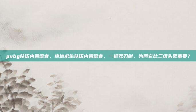 pubg队伍内置语音,绝地求生队伍内置语音,一把双刃剑,为何它比三级头更重要?