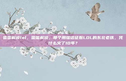 蛋蛋解说lol，蛋蛋解说，那个用骚话征服LOL的东北老铁，凭什么火了10年？