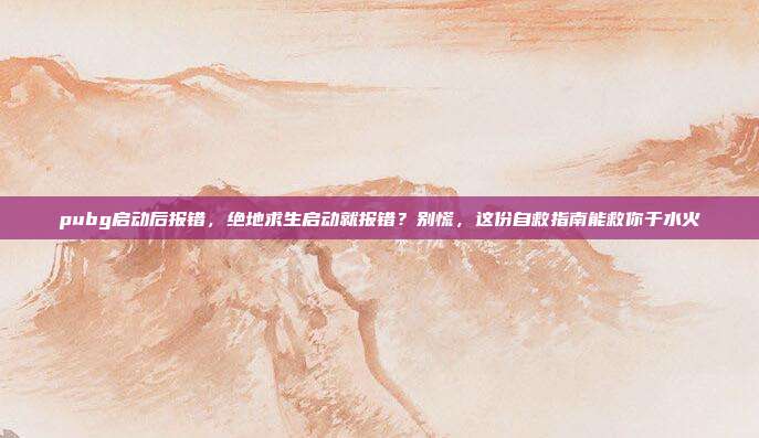 pubg启动后报错，绝地求生启动就报错？别慌，这份自救指南能救你于水火