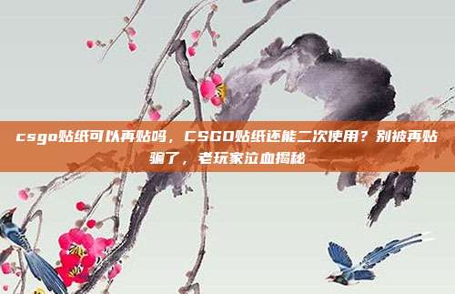 csgo贴纸可以再贴吗,CSGO贴纸还能二次使用?别被再贴骗了,老玩家泣血揭秘