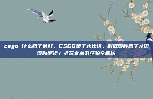 csgo 什么箱子最好，CSGO箱子大比拼，到底哪种箱子才值得你砸钱？老玩家血泪经验全解析