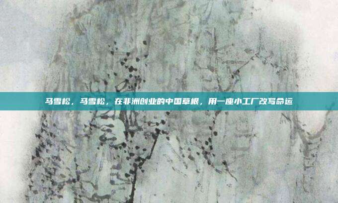 马雪松,马雪松,在非洲创业的中国草根,用一座小工厂改写命运